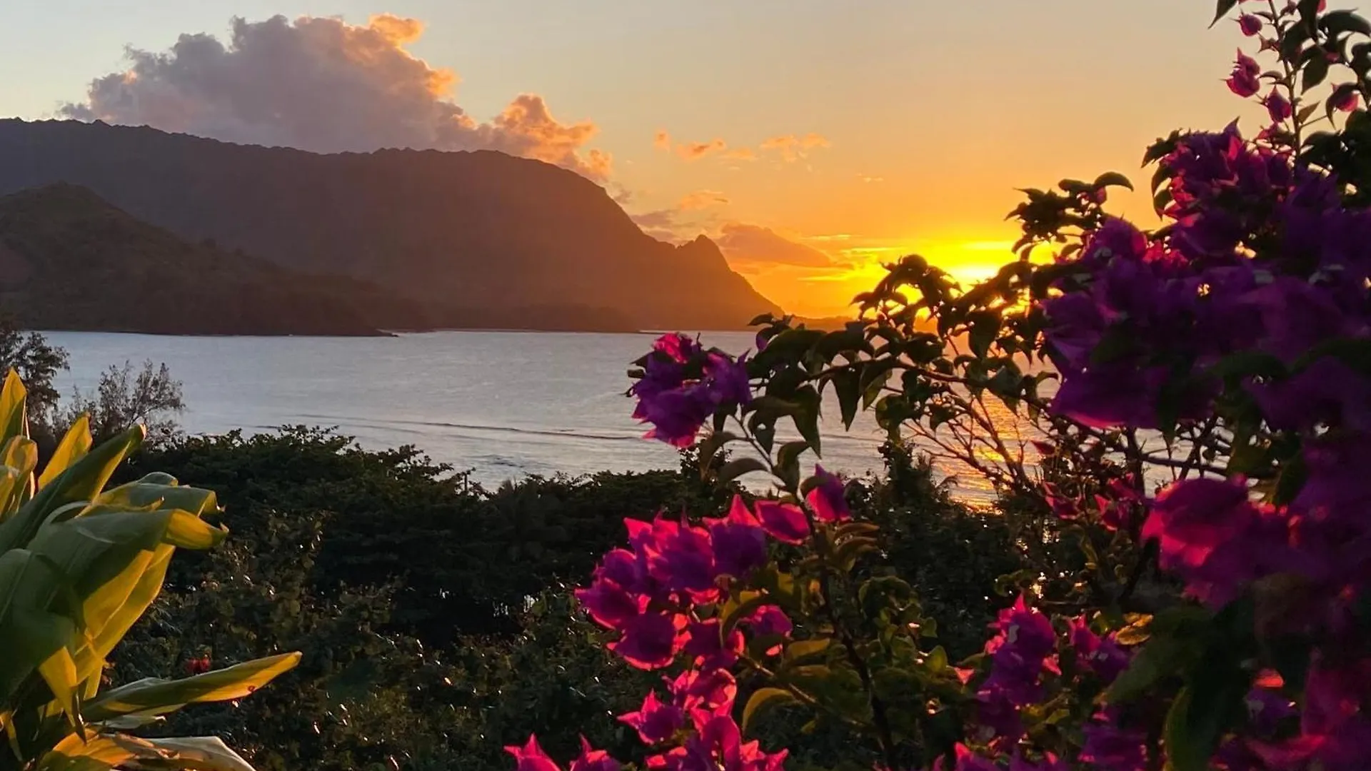 Bbs Biz E Hbr 4104/5/6 Hotel Princeville Holiday park